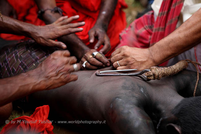 Charak Puja, 8